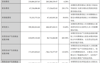 Inovasi Anker: Hasil pada separuh pertama tahun ini ialah 7.066 bilion yuan, peningkatan tahun ke tahun sebanyak 20.01%, dan keuntungan bersih meningkat sebanyak 42.3% tahun ke tahun