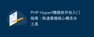 php hyperf微服务开发入门指南：快速掌握核心概念与工具