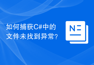 C#에서 파일을 찾을 수 없음 예외를 잡는 방법은 무엇입니까?