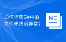 如何捕获C#中的文件未找到异常？