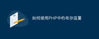 如何使用php中的布尔变量