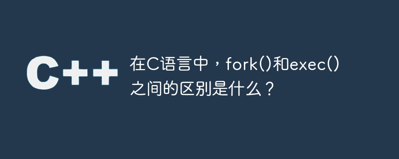 在C语言中，fork()和exec()之间的区别是什么？