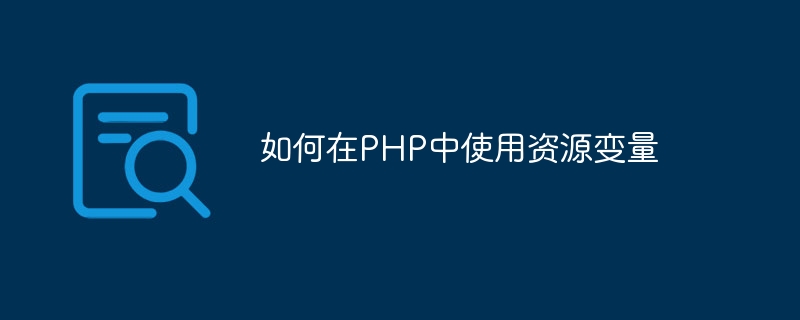 如何在PHP中使用资源变量