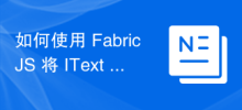 如何使用 FabricJS 將 IText 物件轉換為類似資料的 URL 字串？