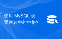 使用 MySQL 设置列名中的空格？