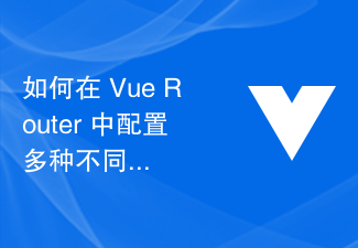 Vue Router で複数の異なるタイプのリダイレクト ルールを設定する方法