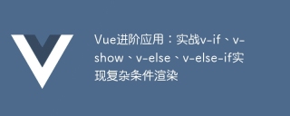 vue进阶应用：实战v-if、v-show、v-else、v-else-if实现复杂条件渲染