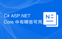 C# ASP.NET Core 中有哪些可用的各种 JSON 文件？