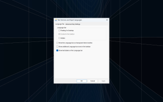 Fix: Dock in taskbar option is grayed out on Windows 11