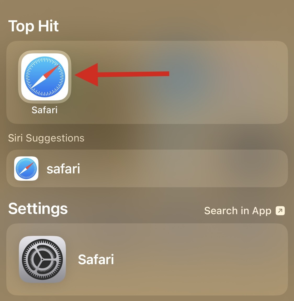 重新安装 Safari 的 8 种方法，适用于 iPhone