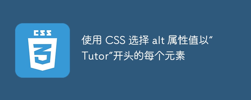 使用 CSS 选择 alt 属性值以“Tutor”开头的每个元素