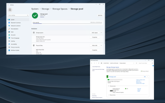 How to RAID an external hard drive on Windows 11