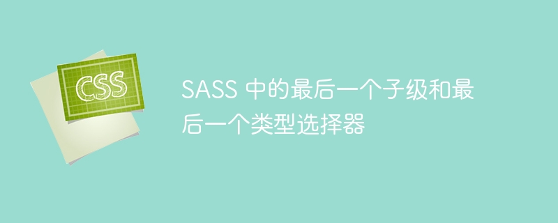 SASS 中的最后一个子级和最后一个类型选择器