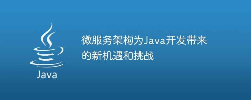 New opportunities and challenges brought by microservice architecture to Java development