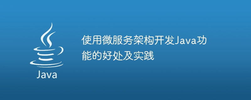 使用微服务架构开发Java功能的好处及实践