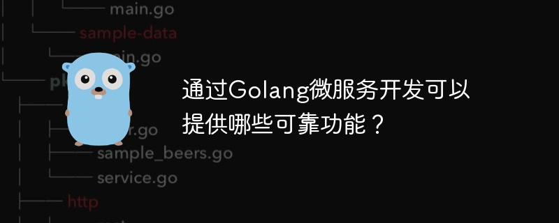 Golang 마이크로서비스 개발을 통해 어떤 안정적인 기능을 제공할 수 있나요?