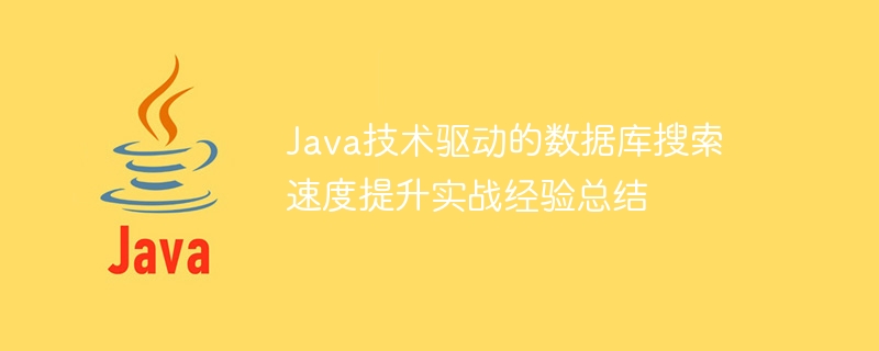 Java技术驱动的数据库搜索速度提升实战经验总结