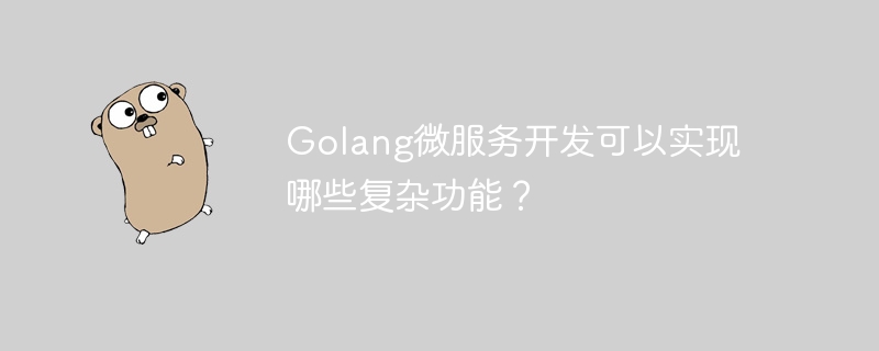 Golang マイクロサービス開発ではどのような複雑な機能を実現できるのでしょうか?