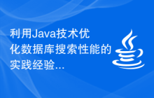 利用Java技术优化数据库搜索性能的实践经验