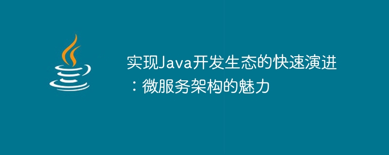 Prendre conscience de lévolution rapide de lécosystème de développement Java : le charme de larchitecture des microservices