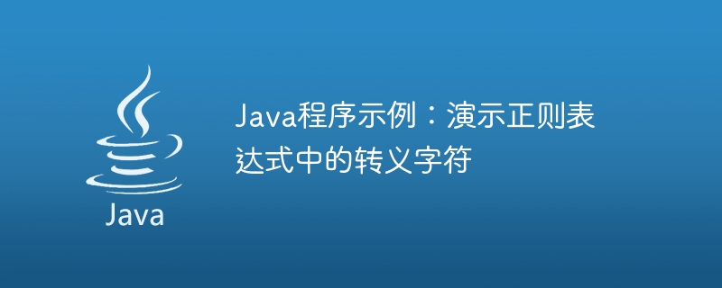 Java 프로그램 예제: 정규 표현식의 이스케이프 문자를 보여줍니다.