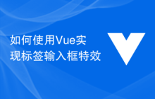 如何使用Vue实现标签输入框特效