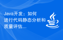 Java开发：如何进行代码静态分析和质量评估