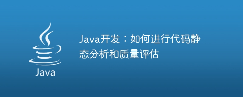 Java 開発: コードの静的分析と品質評価を実行する方法