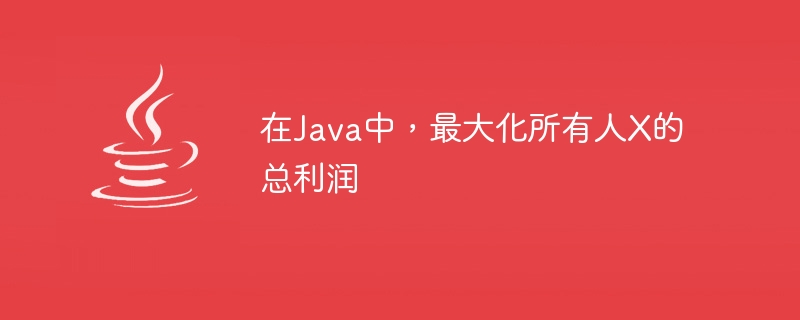 在Java中，最大化所有人X的总利润