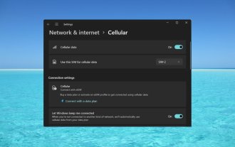 So aktivieren oder deaktivieren Sie eSIM unter Windows 11