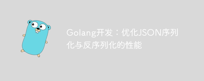 Golang 개발: JSON 직렬화 및 역직렬화 성능 최적화