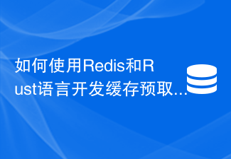 Redis 및 Rust 언어를 사용하여 캐시 프리페칭 기능을 개발하는 방법