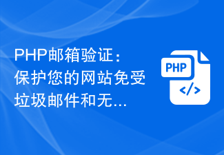 Pengesahan E-mel PHP: Lindungi tapak web anda daripada spam dan alamat e-mel yang tidak sah.