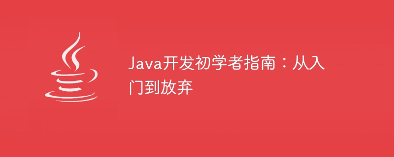 Java 개발 초보자 가이드: 시작부터 포기까지