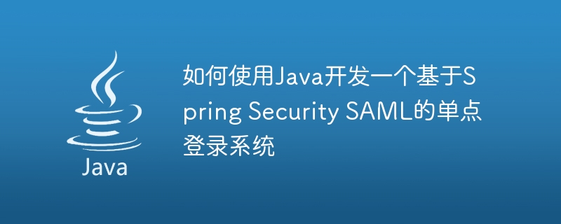 Java on sale spring saml