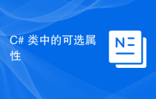 C# 类中的可选属性
