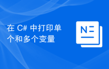 在 C# 中打印单个和多个变量