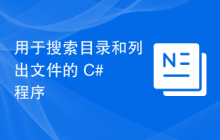 用于搜索目录和列出文件的 C# 程序