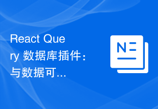 React Query 数据库插件：与数据可视化工具的对接实践