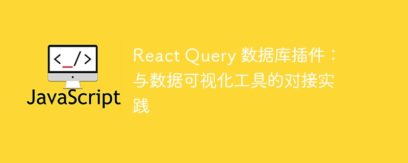 React Query 数据库插件：与数据可视化工具的对接实践