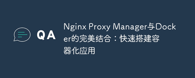 Nginx Proxy Manager与Docker的完美结合：快速搭建容器化应用