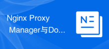 Nginx Proxy Manager与Docker的完美结合：快速搭建容器化应用