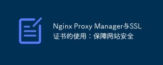 nginx proxy manager与ssl证书的使用:保障网站安全