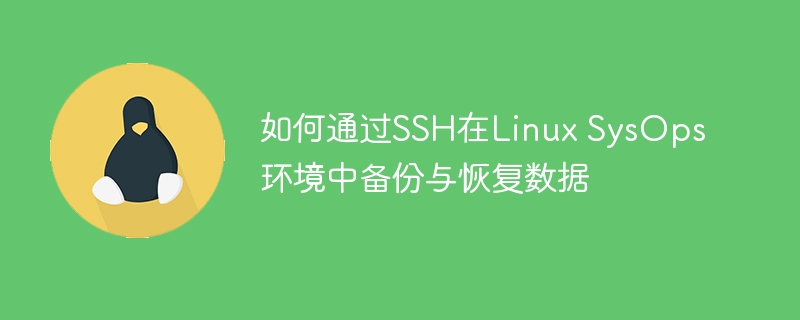 如何通过SSH在Linux SysOps环境中备份与恢复数据