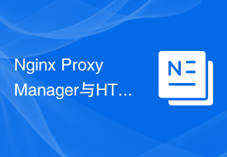 Nginx Proxy Manager与HTTP/2协议的兼容性优化