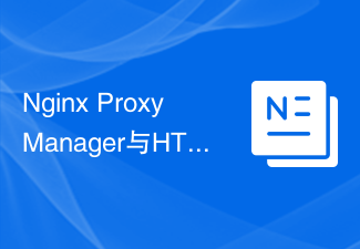 Nginx Proxy ManagerとHTTP/2プロトコル間の互換性の最適化