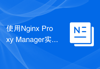 使用Nginx Proxy Manager實作HTTP請求的灰階發布