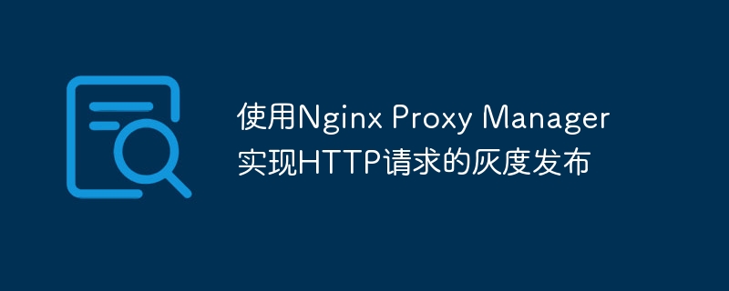 使用Nginx Proxy Manager实现HTTP请求的灰度发布