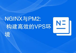 NGINX与PM2: 构建高效的VPS环境
