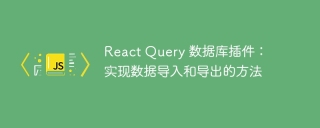 React Query 数据库插件:实现数据导入和导出的方法